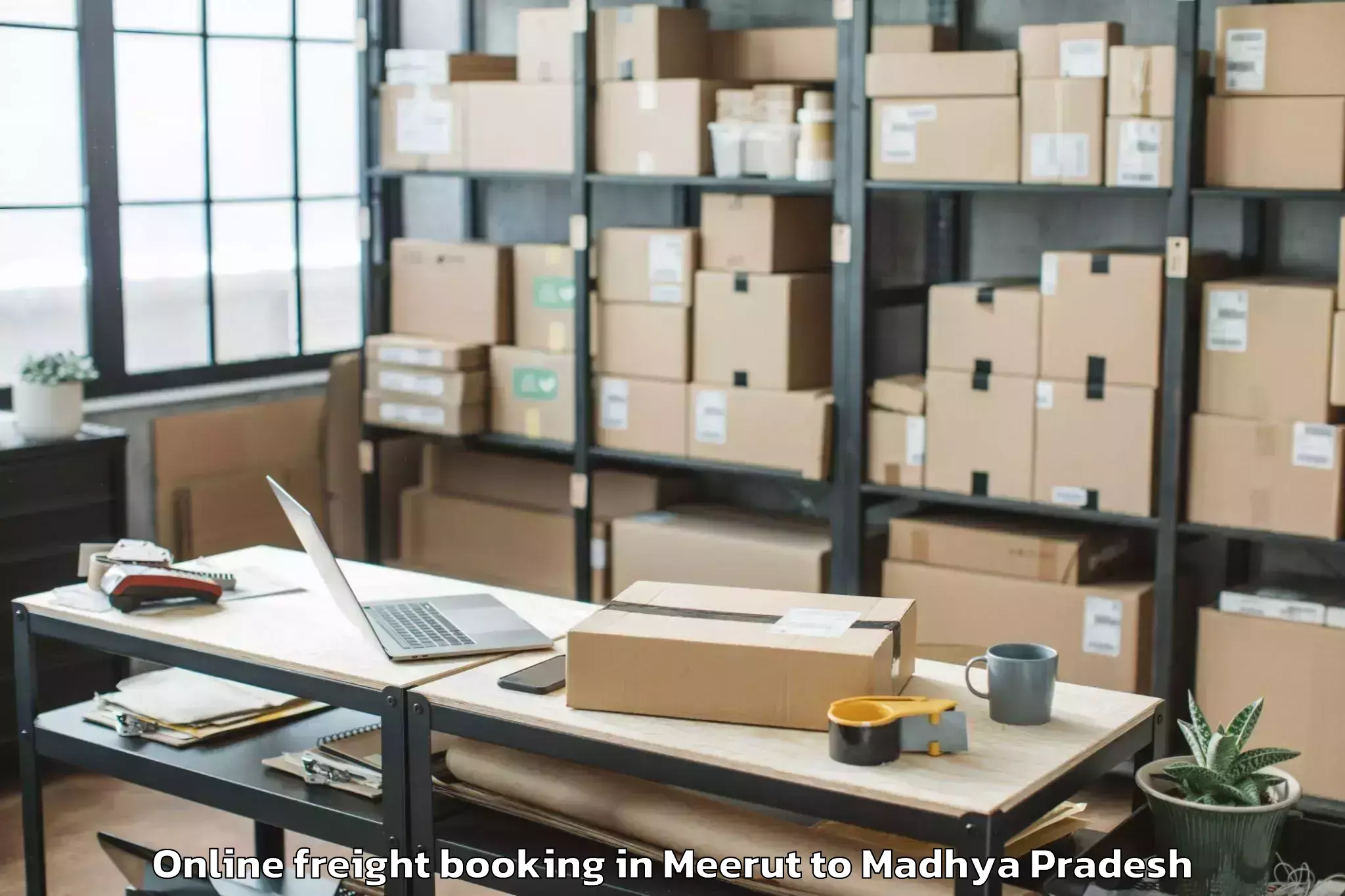 Top Meerut to Narsinghpur Online Freight Booking Available